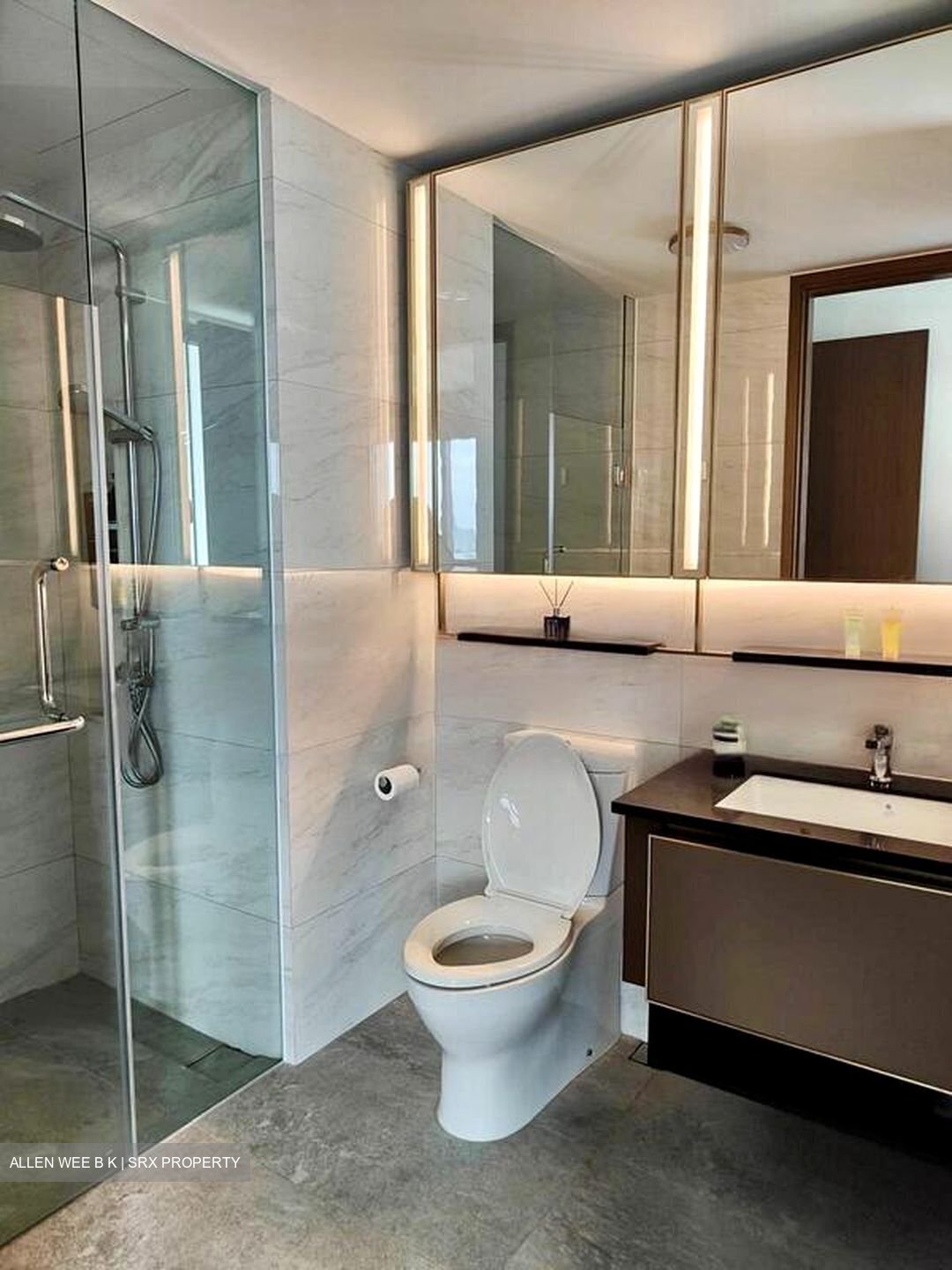 Normanton Park (D5), Apartment #486457581